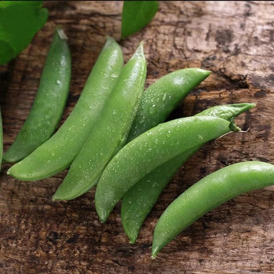 新鲜甜豆现摘现发清脆爽口甜豆精选大颗甜豆非荷兰豆基地直发