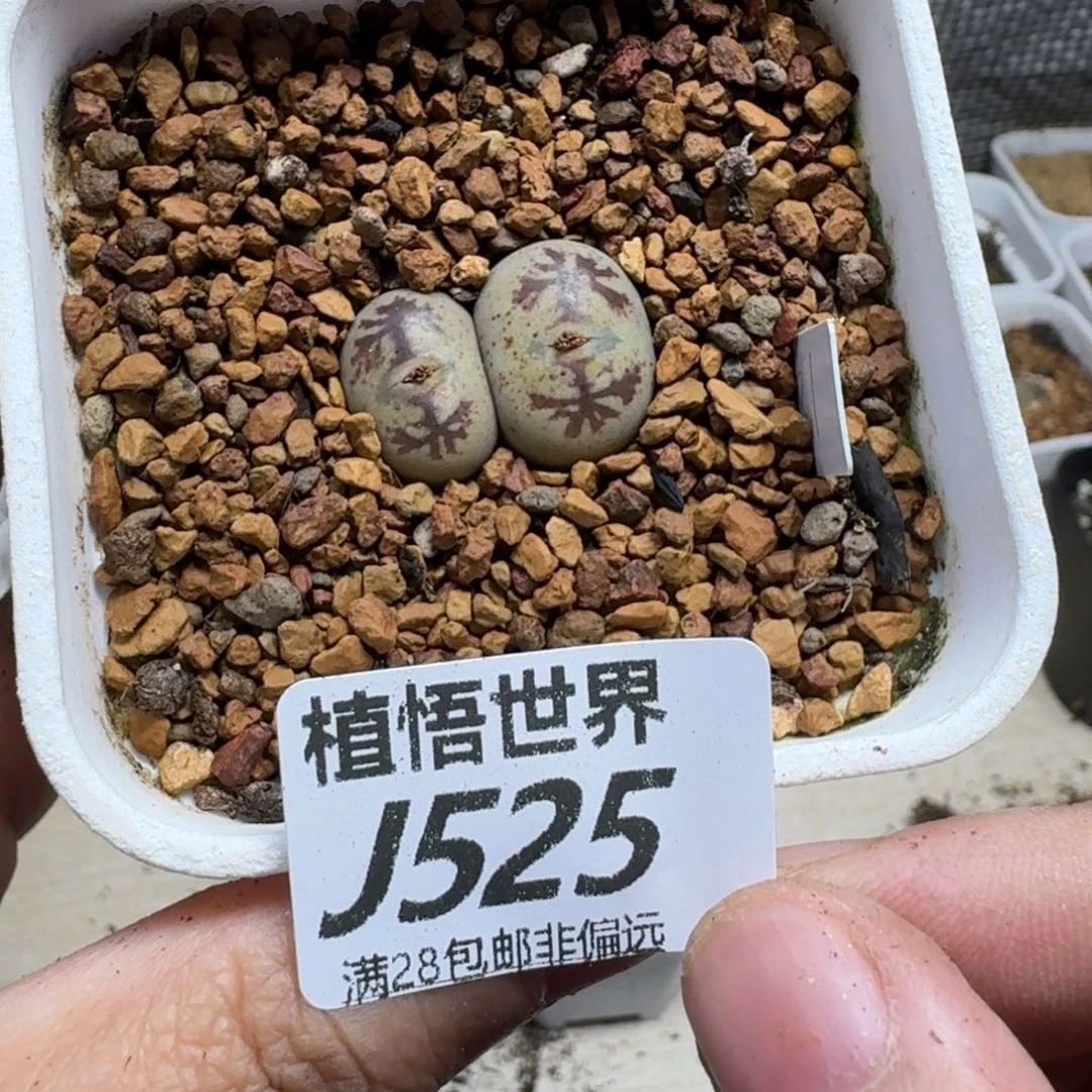 不***丢draw的润泽多人ghnm