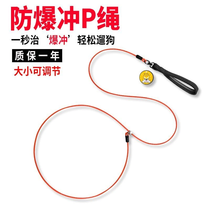 宠物防爆冲一体式p绳金毛小中大型犬防挣脱狗狗外出遛狗绳子p链