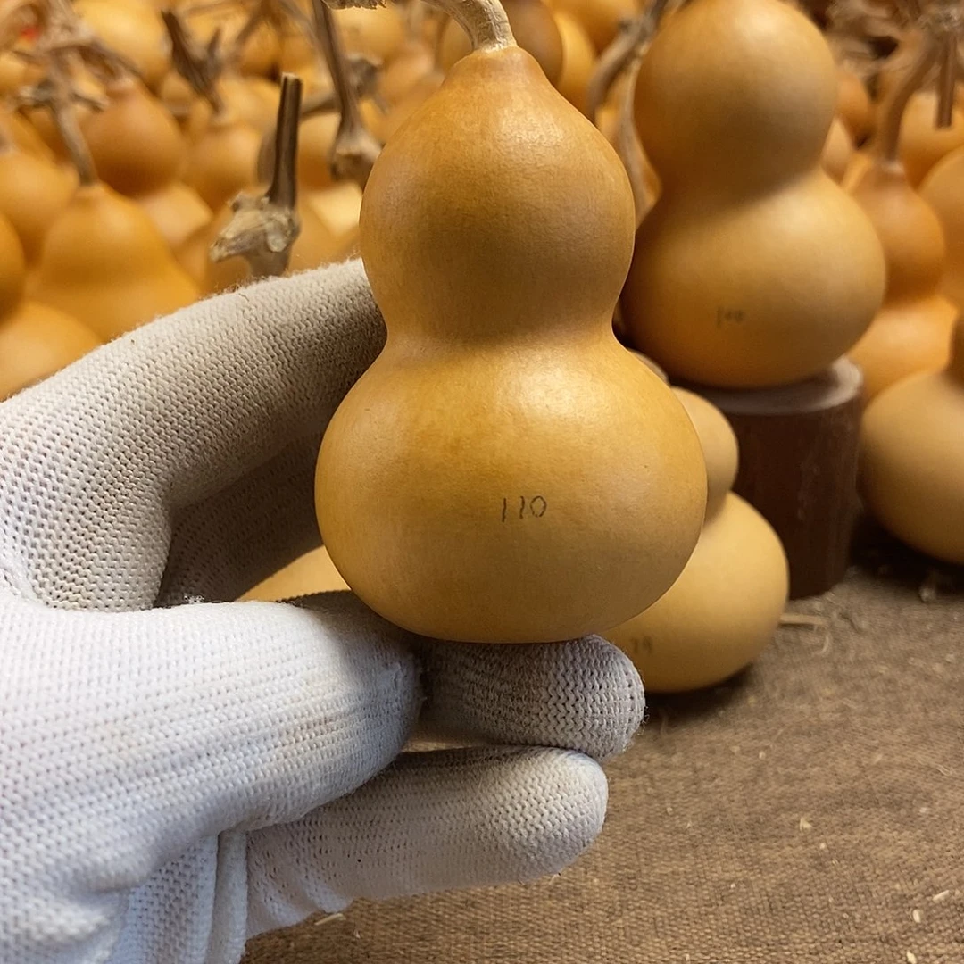 文玩葫芦 完美主义者 慎拍110