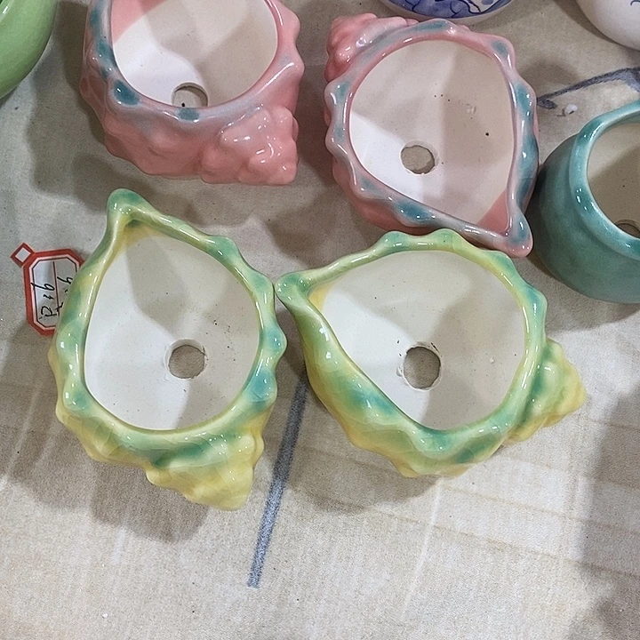 花盆抢购清货马上开始