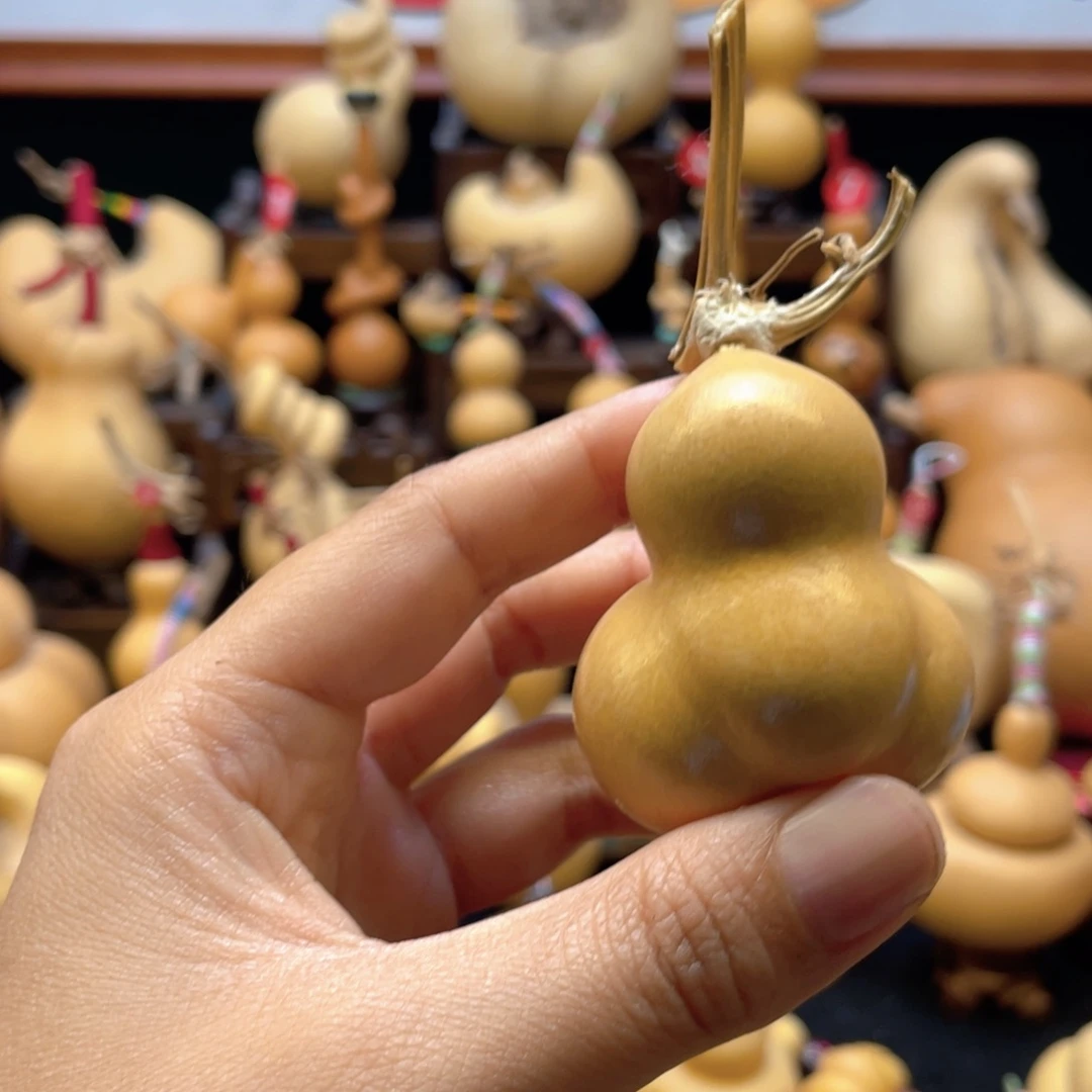 大****米大自然的秘密第十一章第一