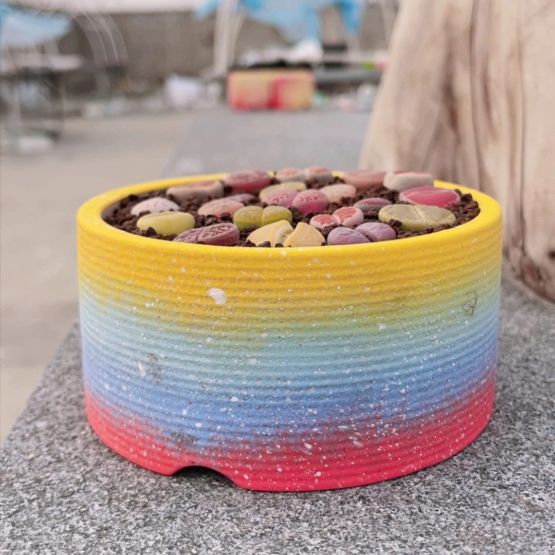 红陶浪*啥好滴好滴好滴