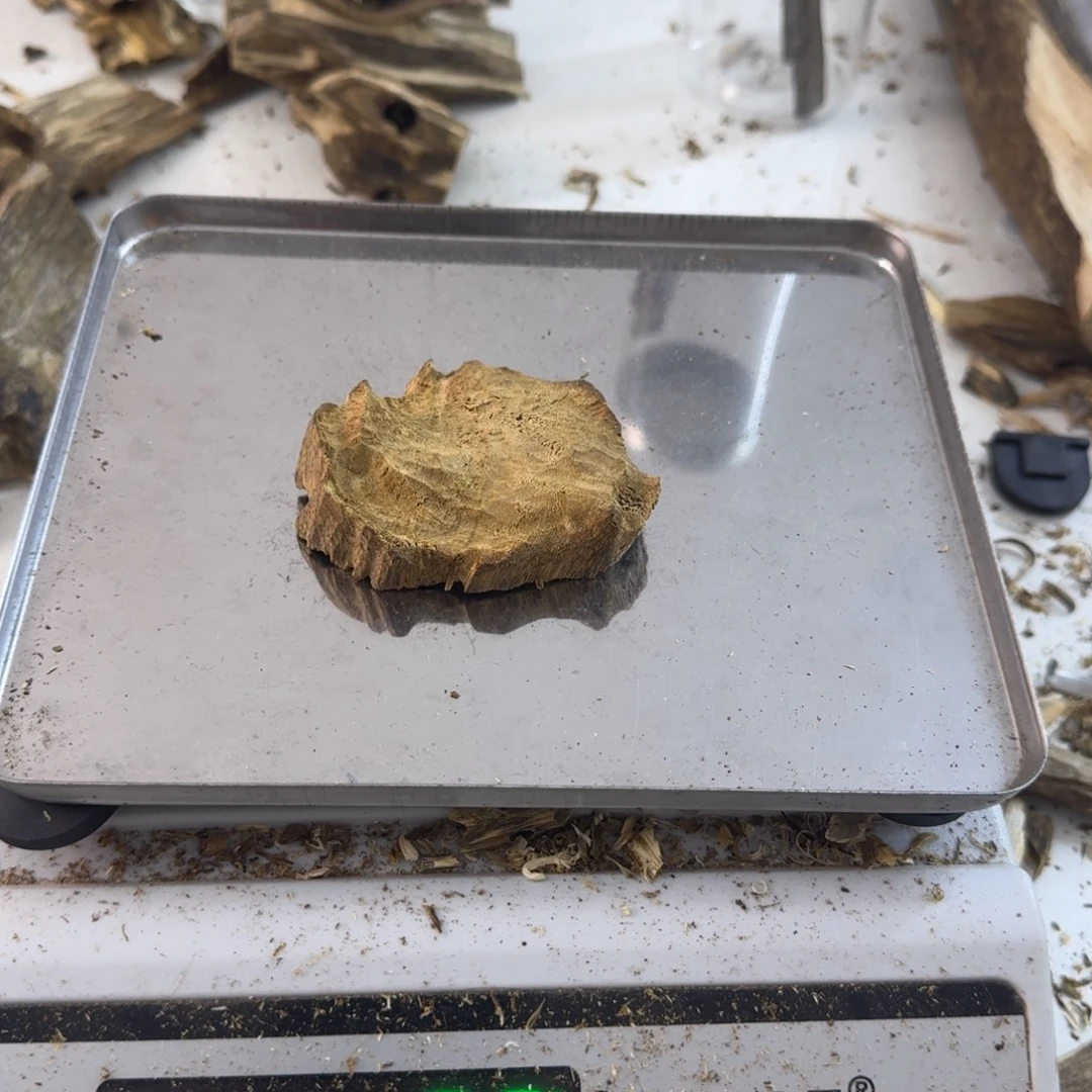 沉香沉香碎屑绿绮楠沉香9.8克