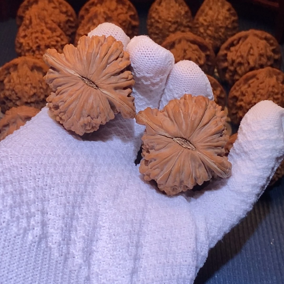 48尺 全品白茬 极品尺寸 四座楼