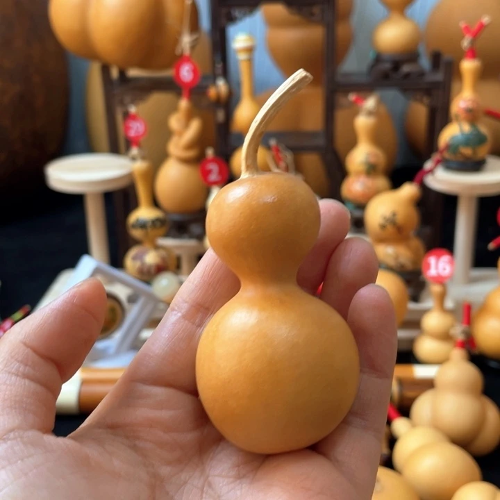 大*维葫芦丝独奏演员演技还是那么