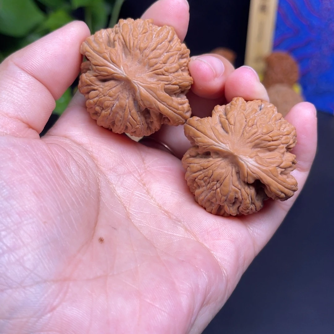 文玩核桃把件42球虎