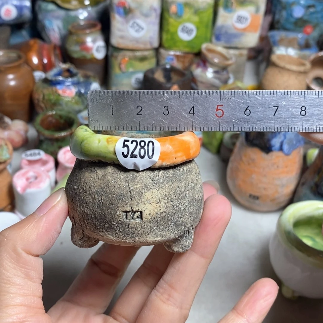 拍3送一个小礼物