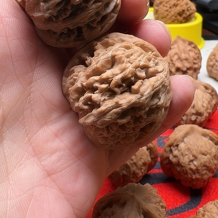 文玩核桃吊坠如*观龙穗