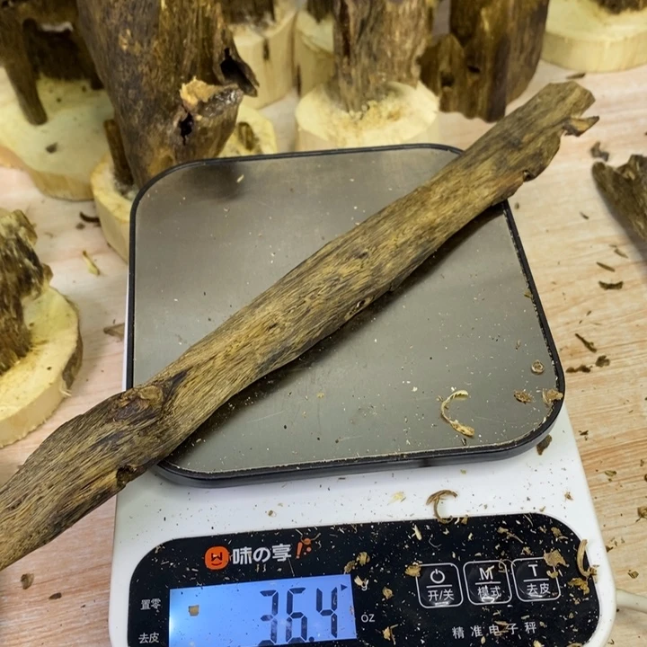 棋楠沉香陆河醇化干料