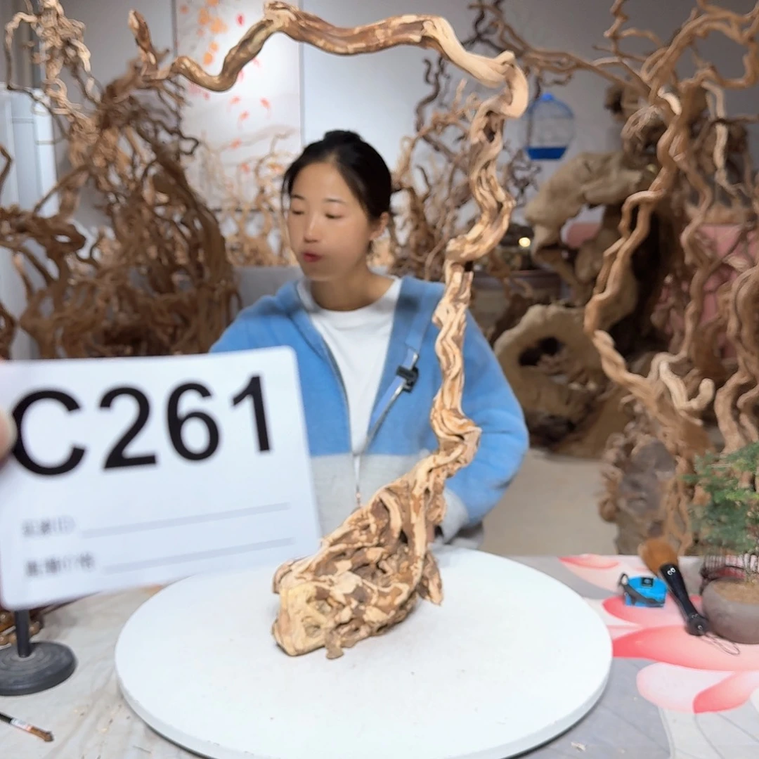 风车木（黑檀木）可***_