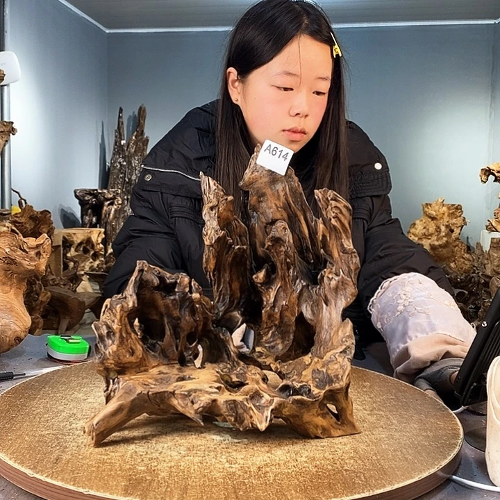 茶盏小*614株木底座随行根艺