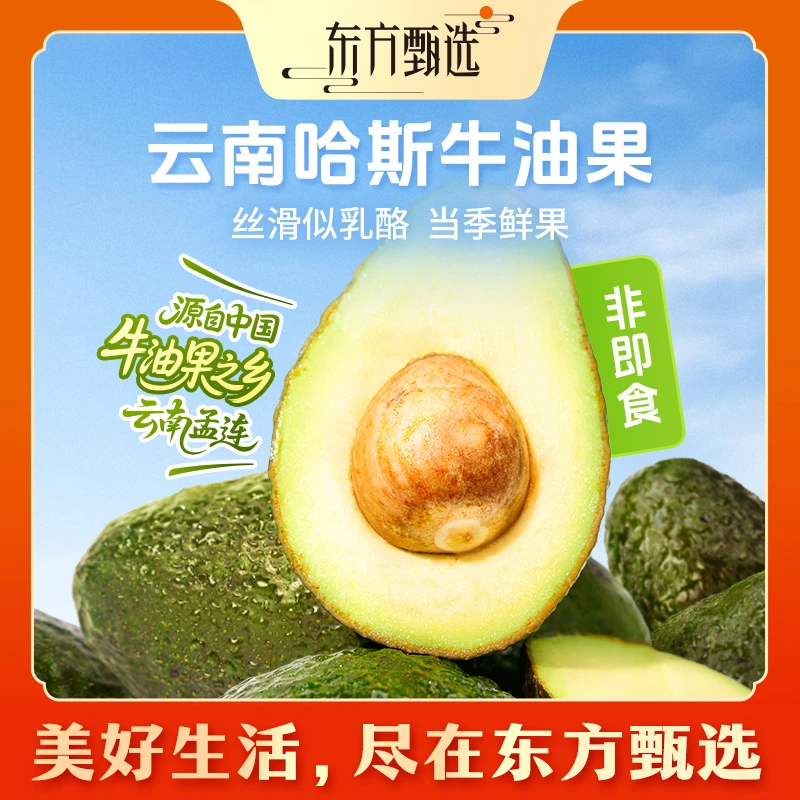 东方甄选自营云南哈斯牛油果绵密醇厚营养新鲜应季水果坏果包赔
