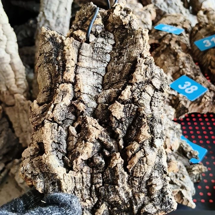 一物一拍一物一发