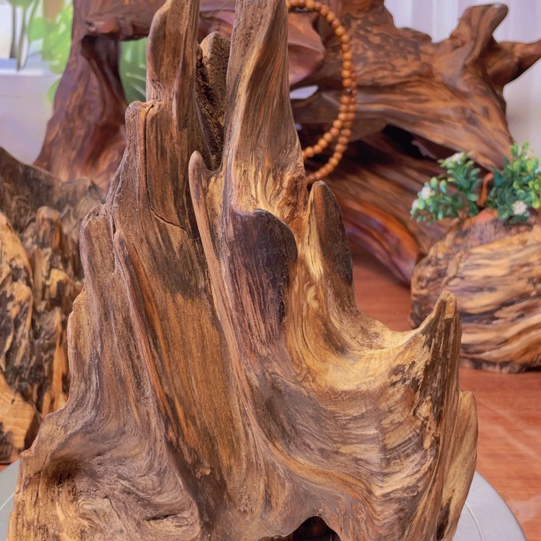 你目的名优木兰狠厉我乐了