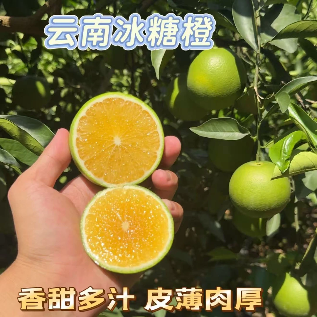自家云南哀牢山冰糖橙清甜多汁新鲜采摘水果包邮
