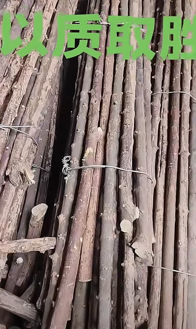 拐杖老人专用烟杆车载棍六道木枪杆料武术棍登山杖鞭杆