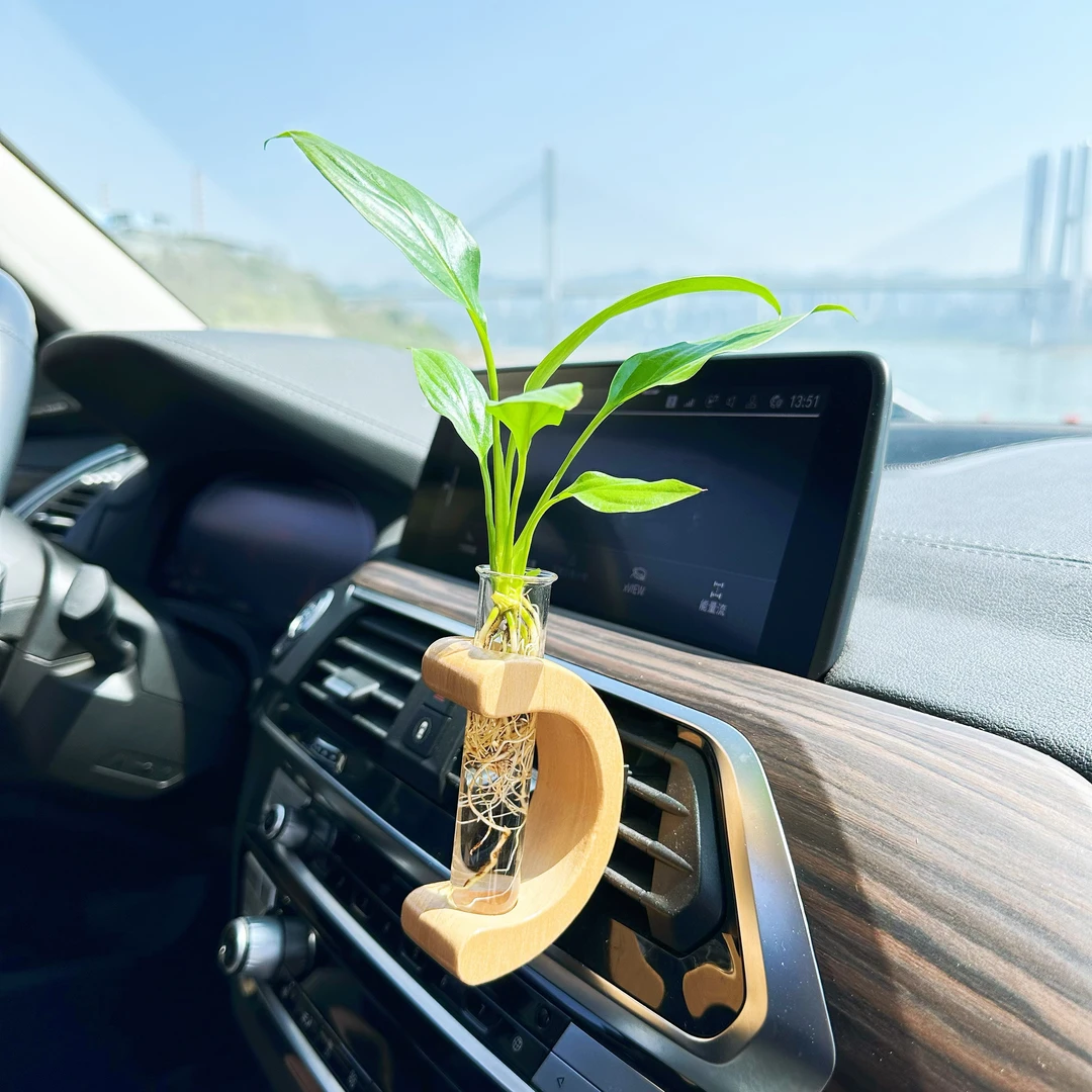 【零下不推荐】汽车C型空调出风口迷你小绿植水培鲜活车内高档摆件