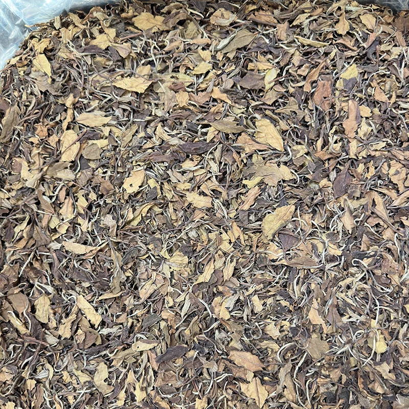 2011陈年岁月福鼎白茶高山老白茶茶叶枣香自然云雾滋润寿眉100g