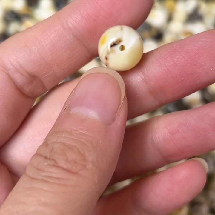 蜜蜡未镶嵌裸石11.5mm一个