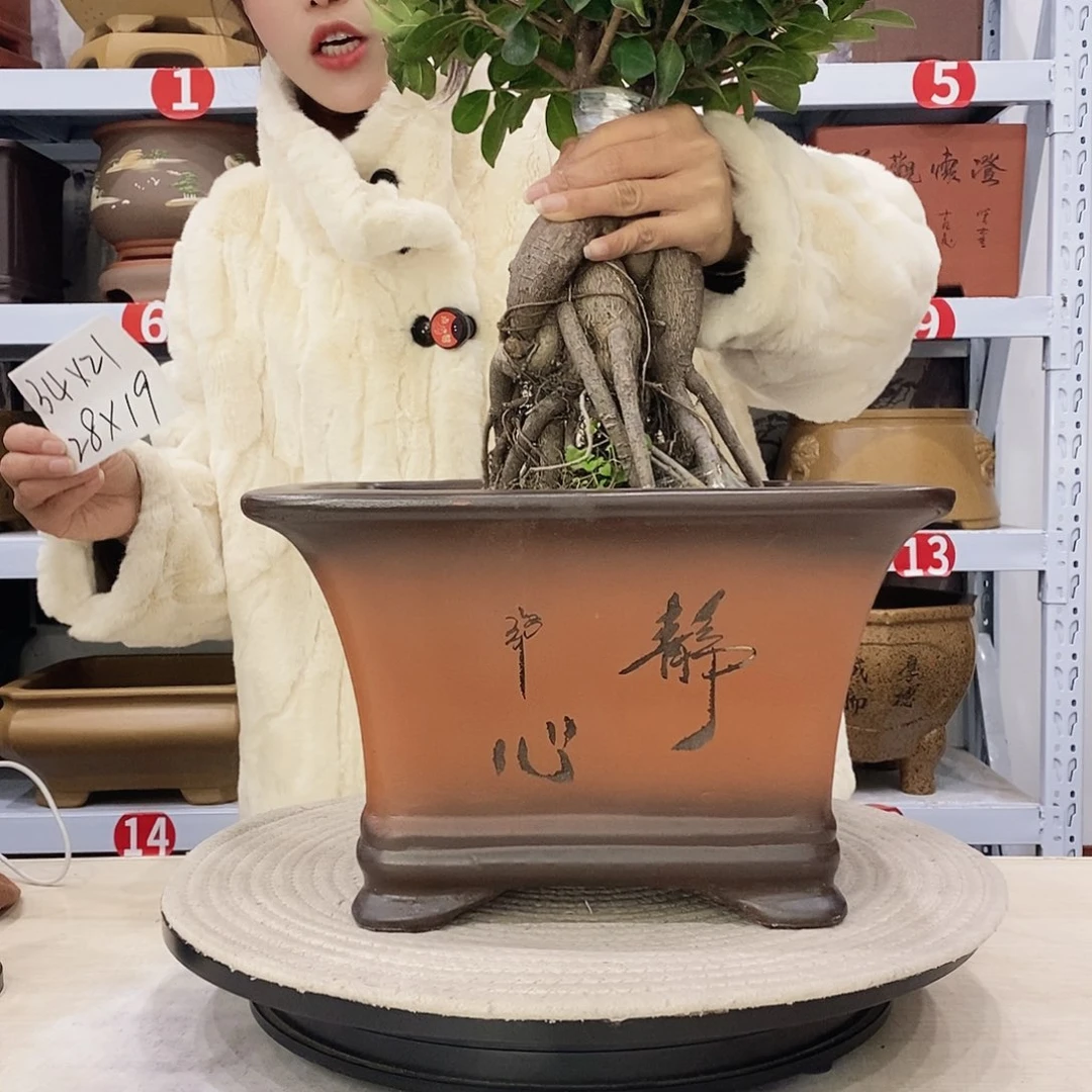 紫砂花盆紫砂花盆