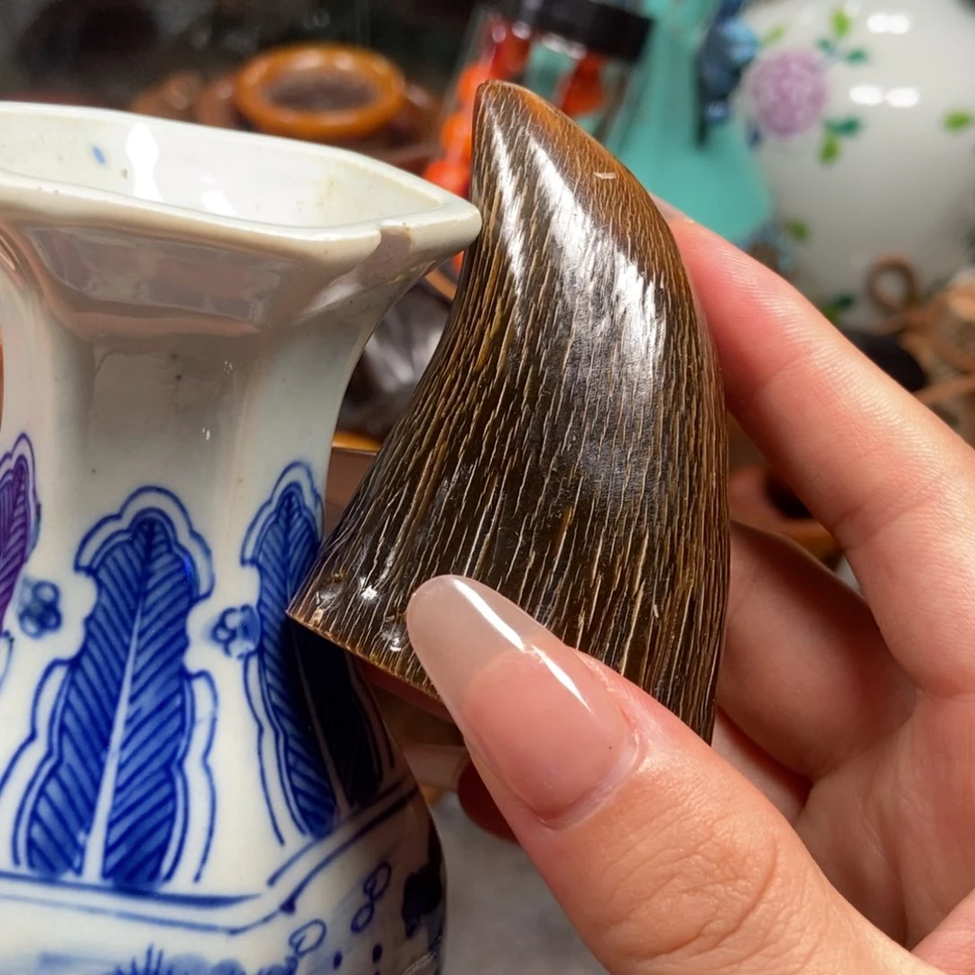 主播节目主持人和主持人的