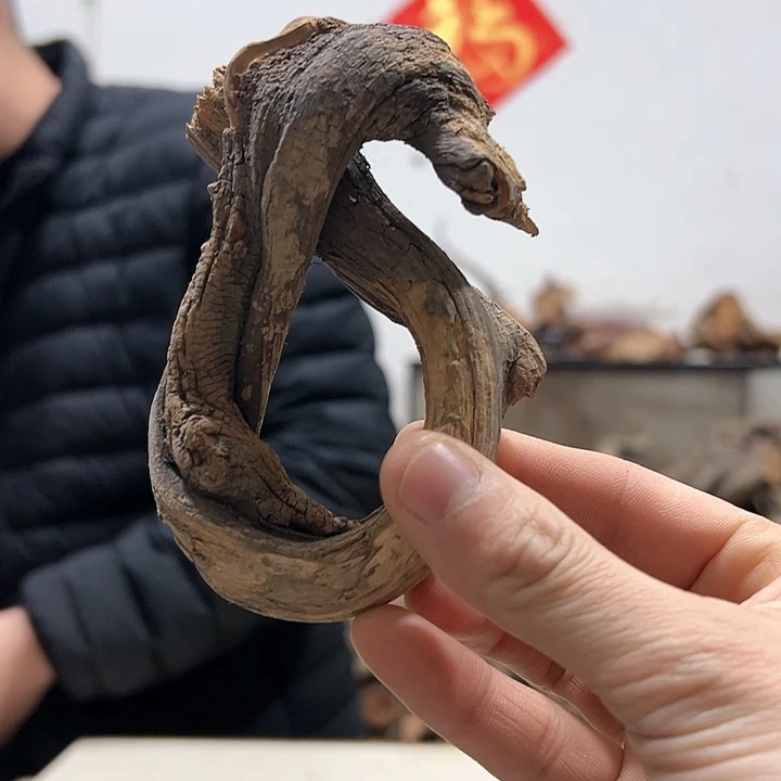 柏木分*我们的生活也是如此