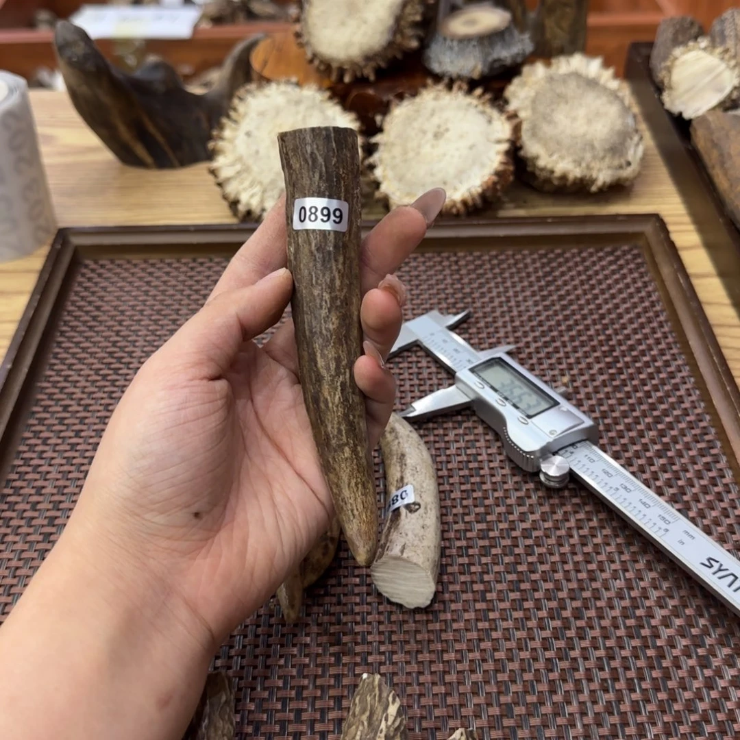 鹿骨其他0899脚尖