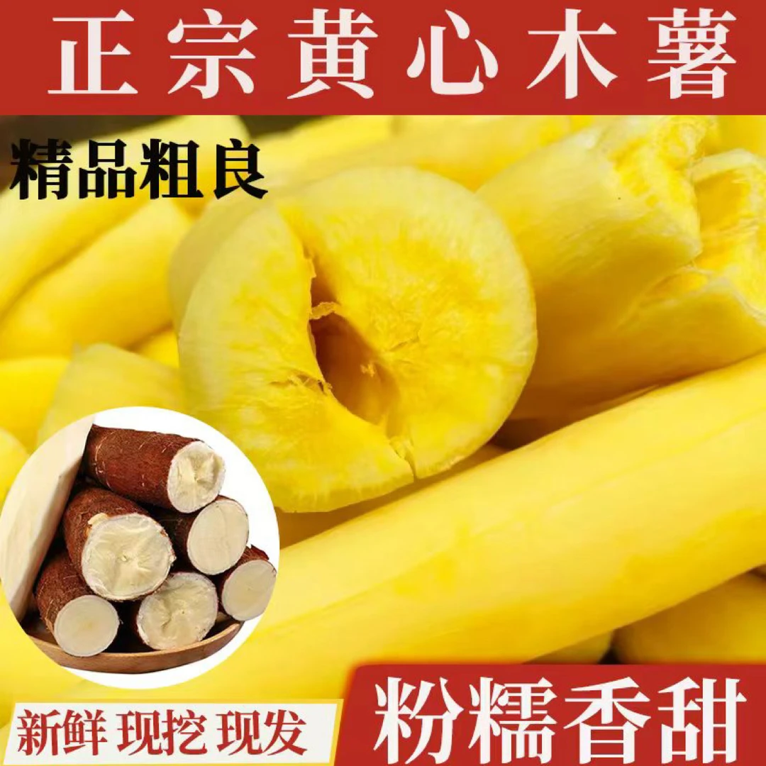 正宗广西黄心面包木薯新鲜粉糯Q弹当季粗粮蛋黄黄心板栗木薯