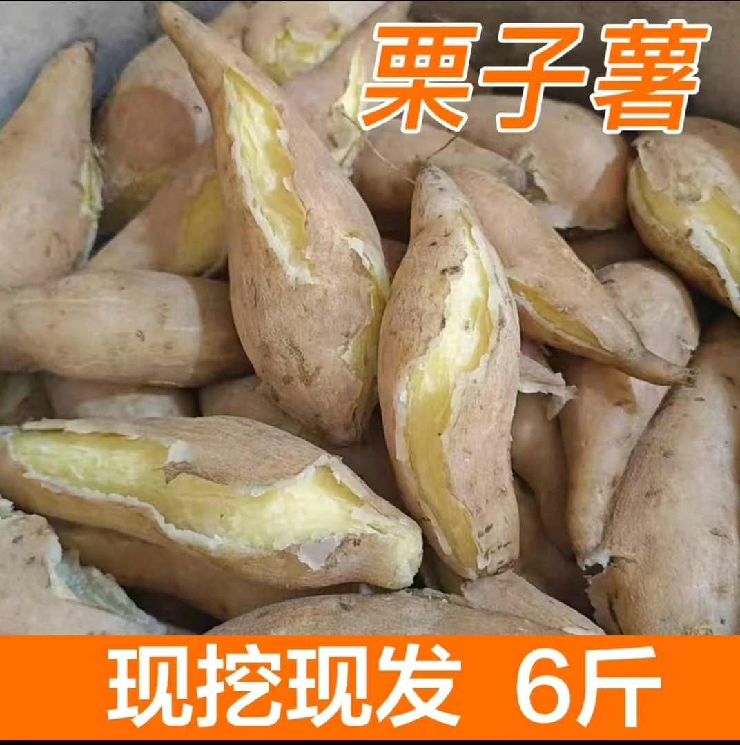 【明哥专属】新鲜现挖白皮白心板栗薯粉面香甜板栗红薯辅食粗粮