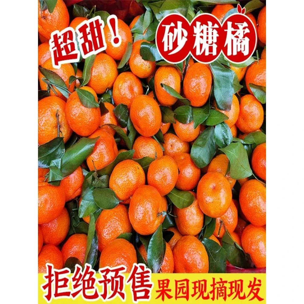 宗广西砂糖橘斤新鲜水果当季超甜橘子精品无籽小沙糖桔子包邮顺丰