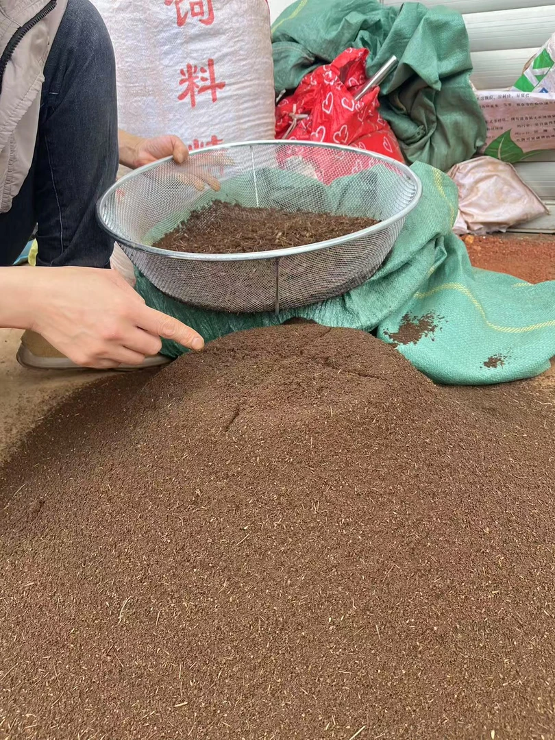 B2-高品顶配松针腐殖土营养土七年以上自然发酵无土