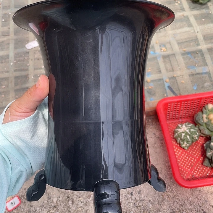 2个万年青盆口径16.5