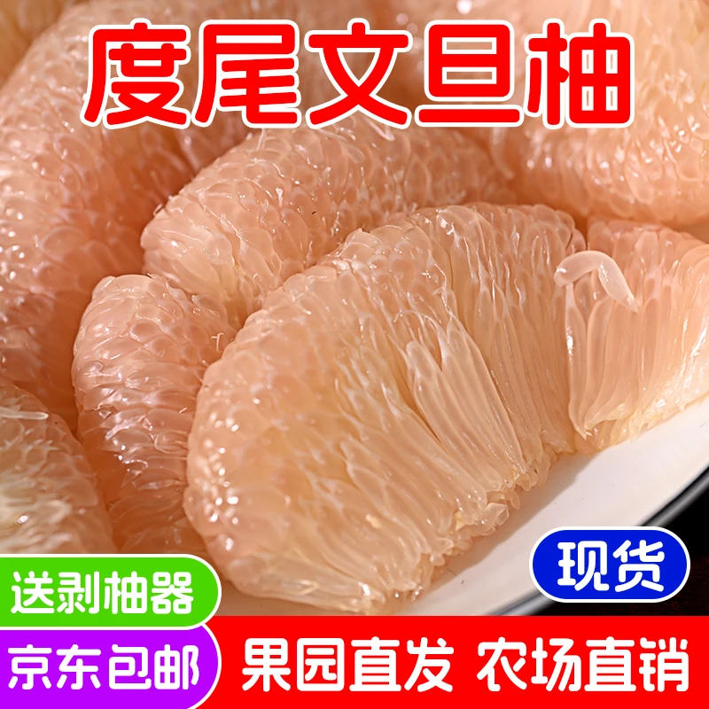 家福农场 仙游度尾红心文旦柚新鲜现摘中秋国庆节礼品水果 20斤装