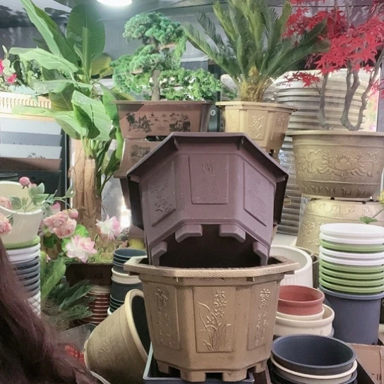 复合盆景造型设计