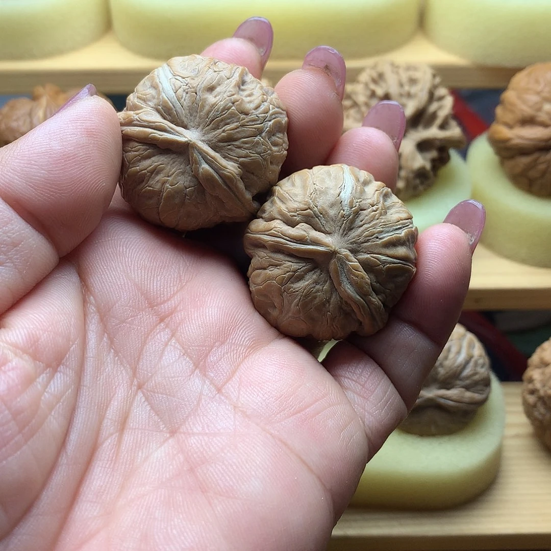 全品无修新果元宝异型