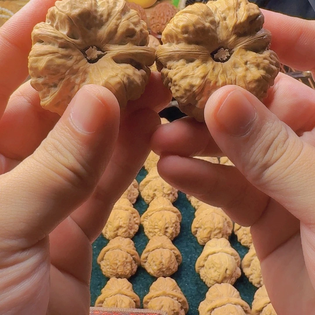 ?****い延庆蛤蟆头巨无霸开背王