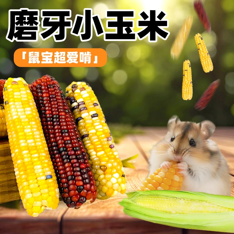仓鼠零食磨牙棒小玉米笋金丝熊营养粮食物增肥花枝鼠造景玩具用品