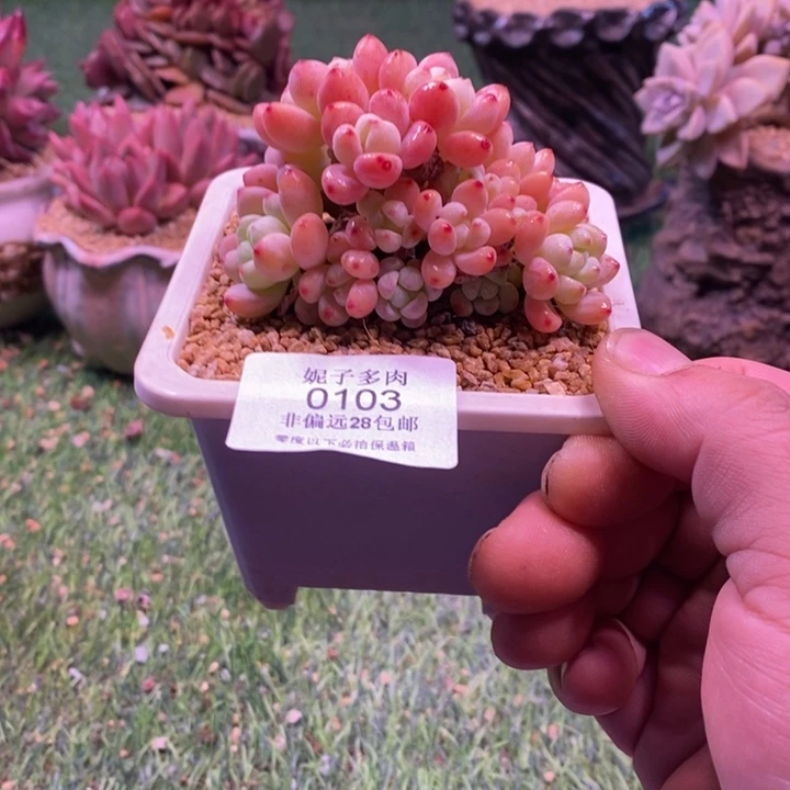 0103啊啊啊啊啊啊啊啊啊啊啊啊