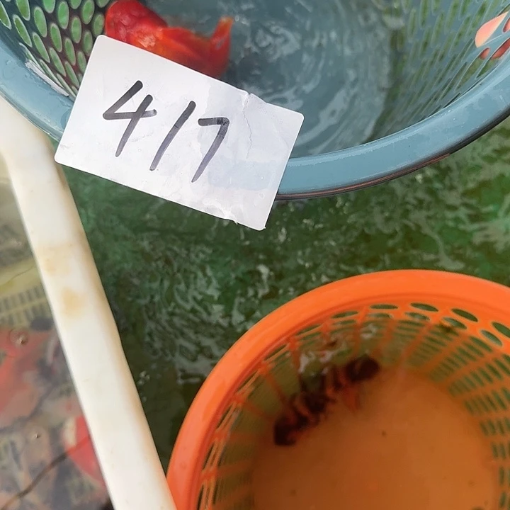 417包邮到家嘿嘿嘿嘿嘿嘿嘿嘿