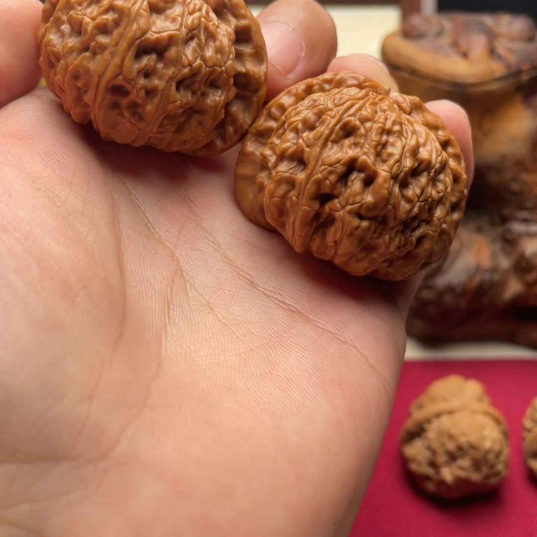 文玩白狮子手把件A09