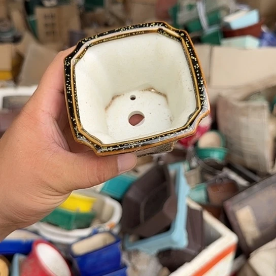 不去看书啊哈是真的想吐是