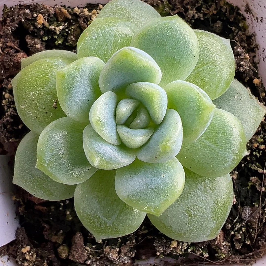 财富密码10。