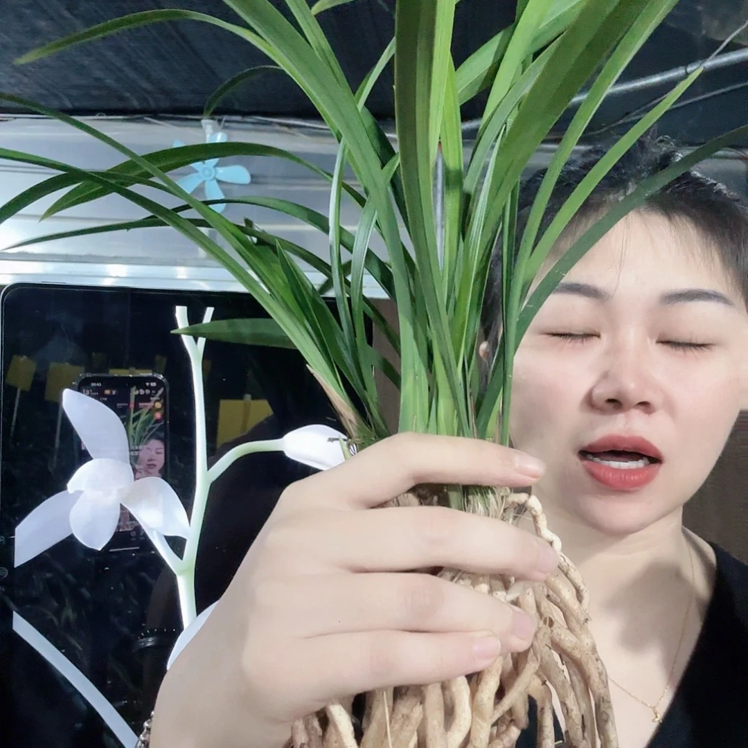 完全开放2222222222