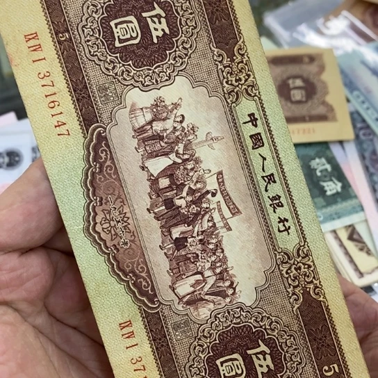 杨****）0000000000000000019