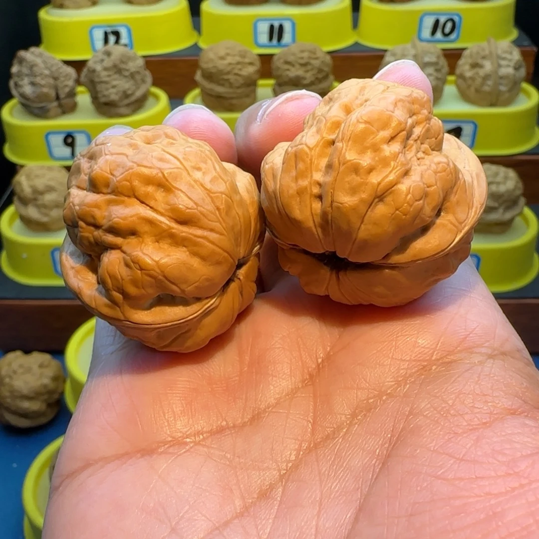 小***儿桃核把件蟾祖核桃