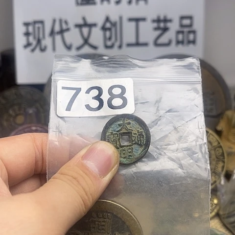 铜枫**染现代文创工艺品现代花钱