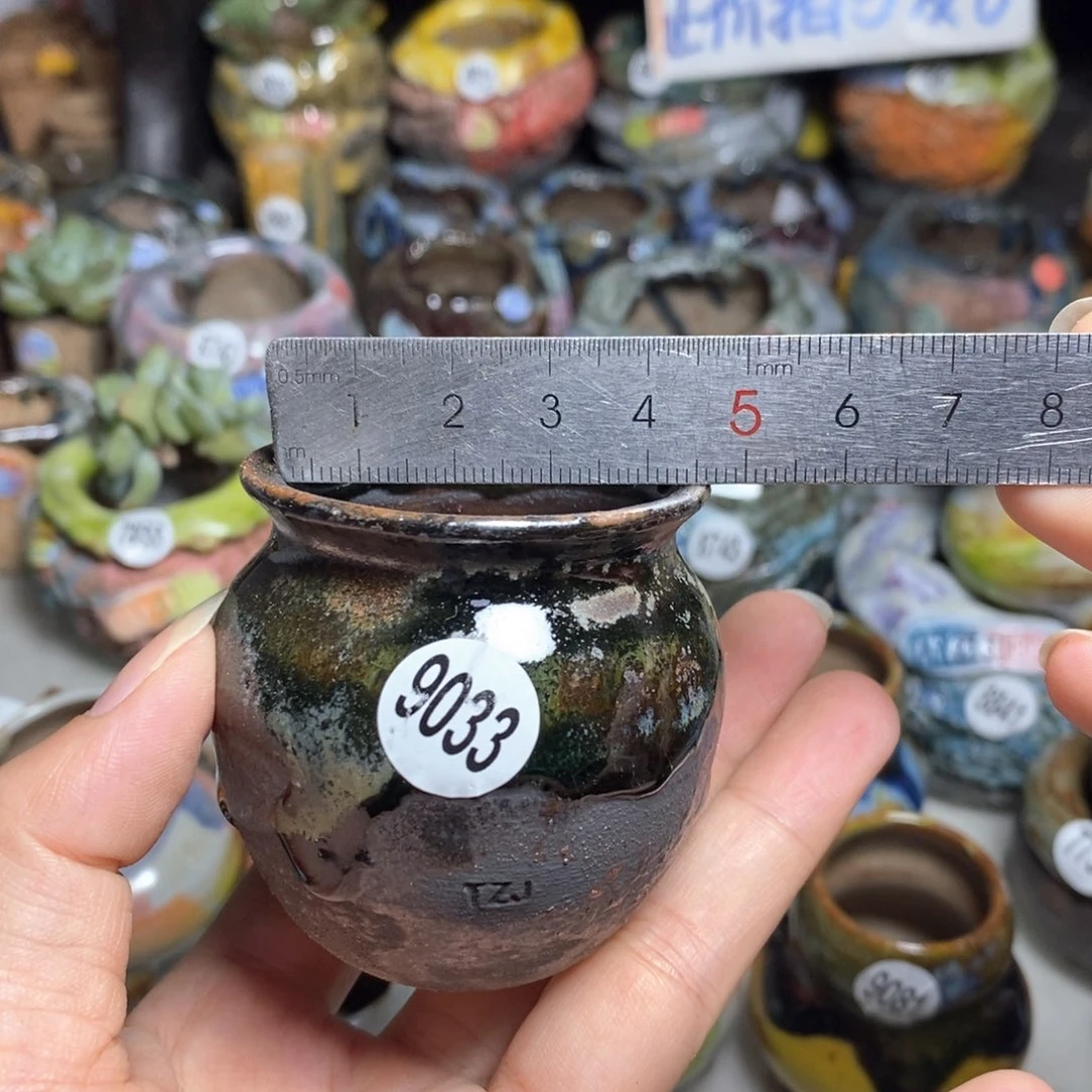 拍5送一个小礼物