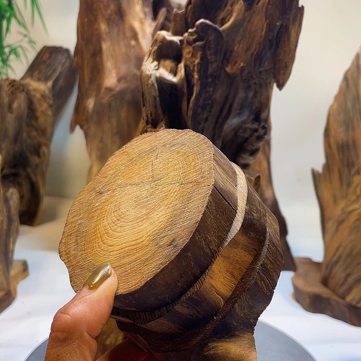 诚***谱木直播间一物一拍