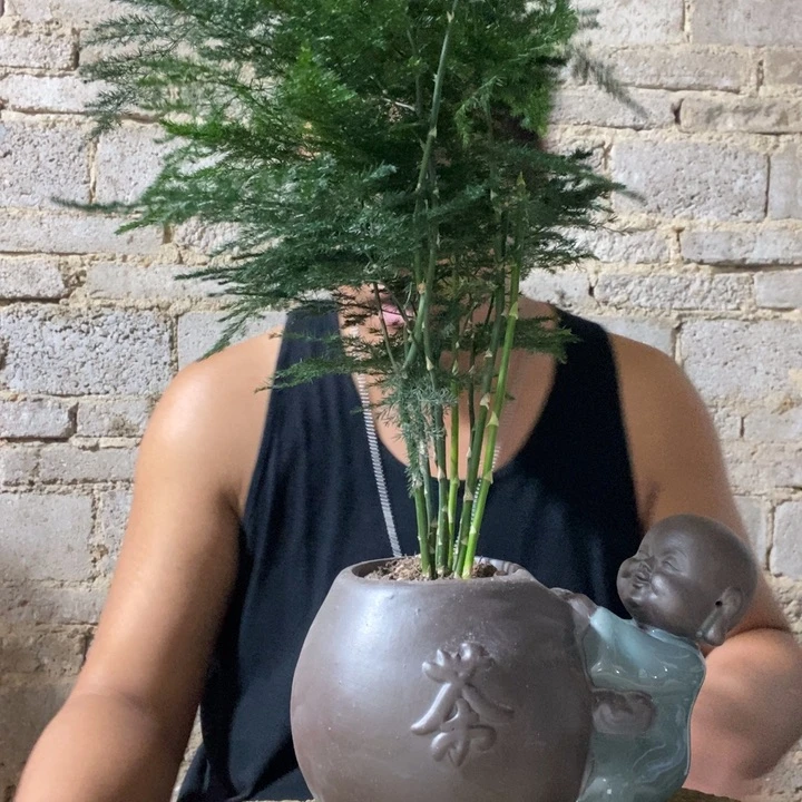 安***好完全开放退款拉黑一物一拍232